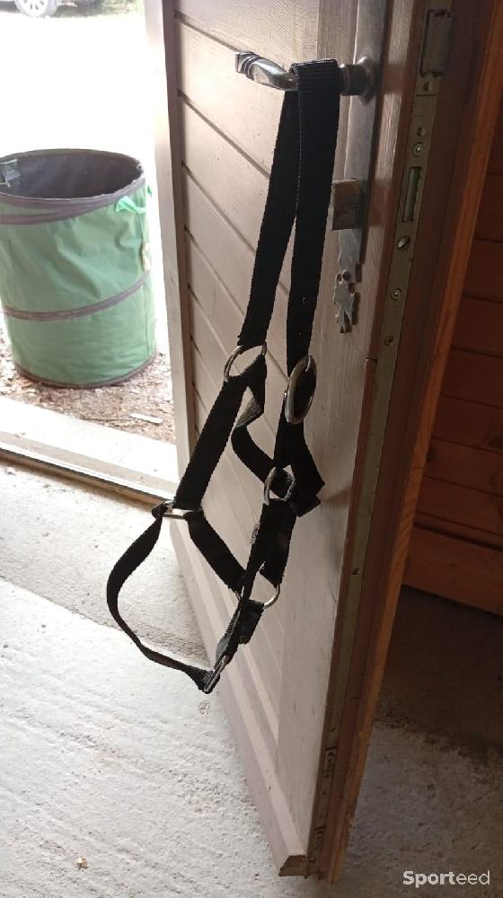 Equitation - Licol taille cob noir  - photo 1