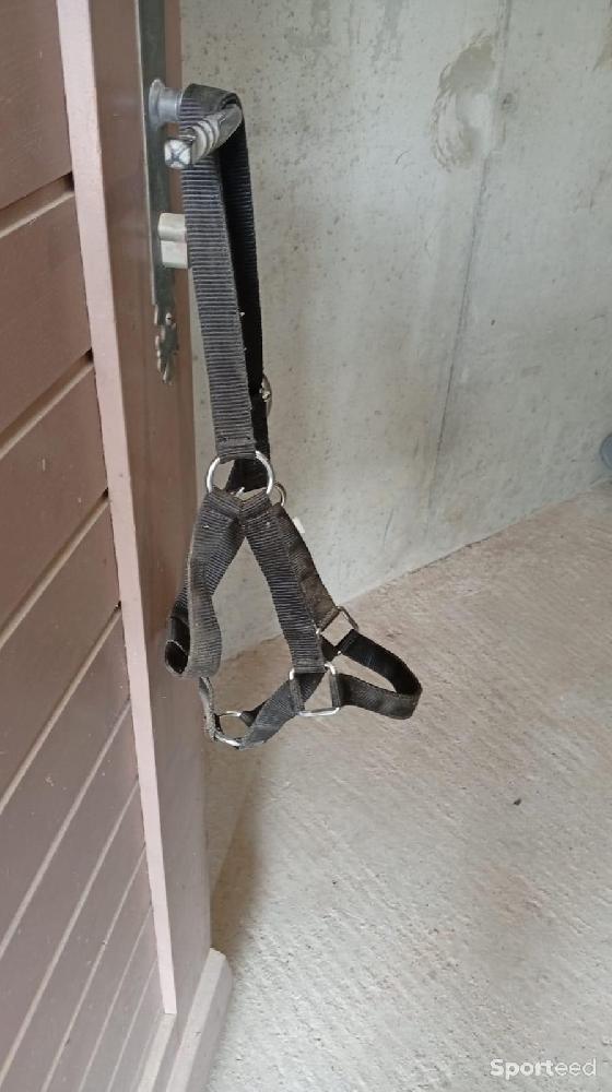 Equitation - Licol taille cob noir  - photo 3