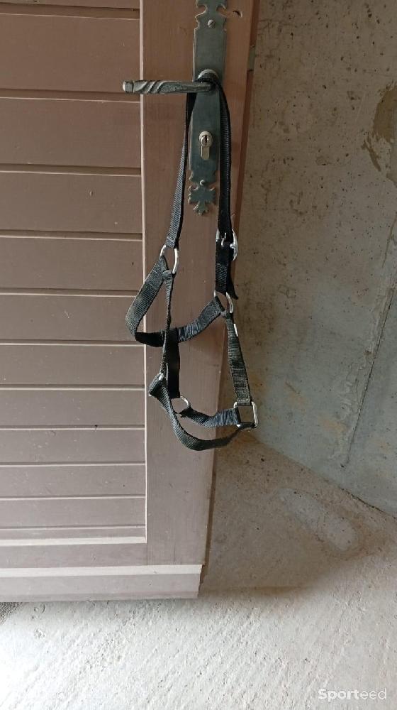 Equitation - Licol taille cob noir  - photo 4