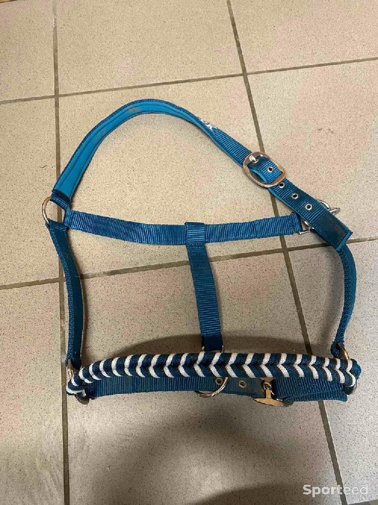 Equitation - Licol bleu Krämer - photo 1