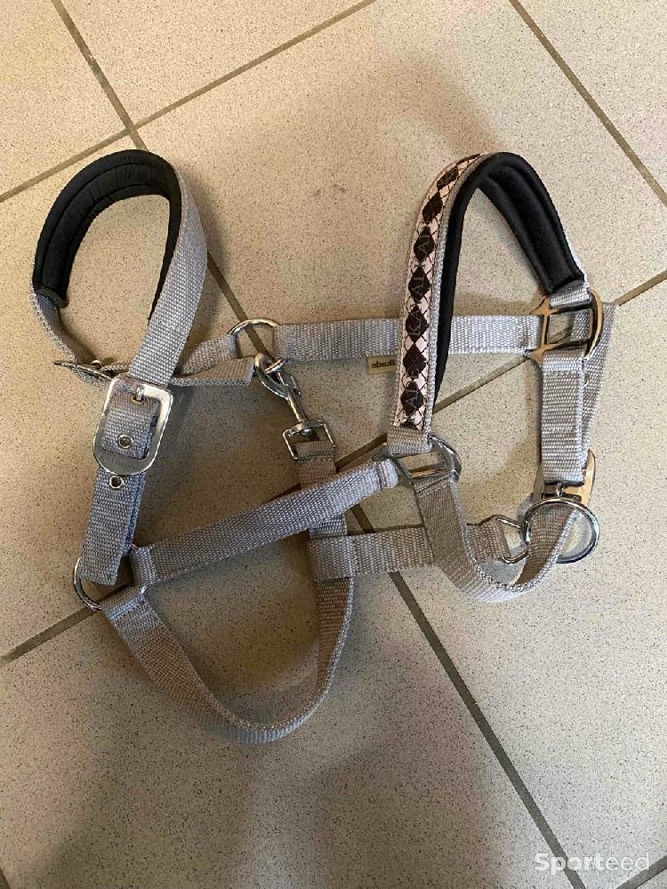 Equitation - Licol gris kalvakade  - photo 2