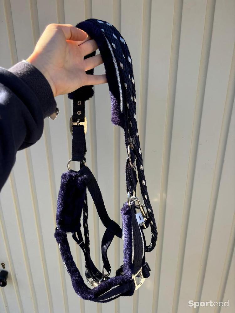 Equitation - Licol  - photo 1