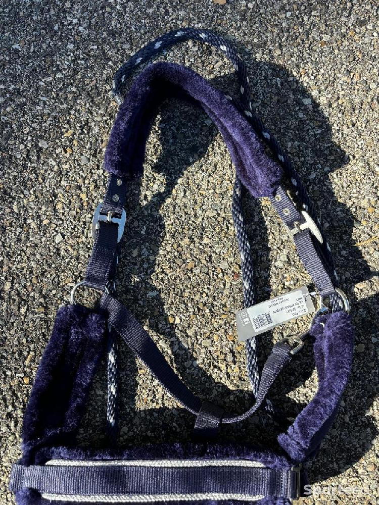 Equitation - Licol  - photo 2