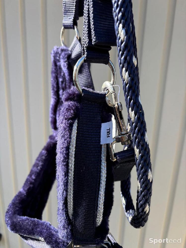 Equitation - Licol  - photo 3