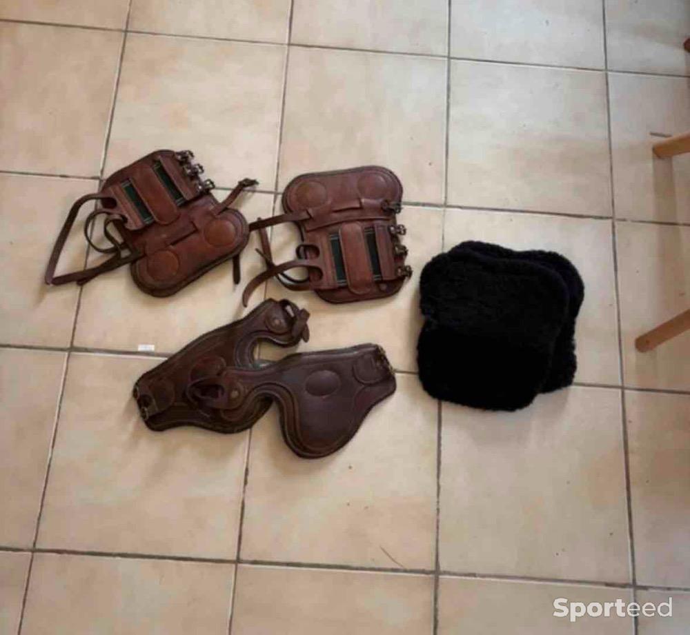 Equitation - Lot protections cheval Guêtres Forestier + Protège-boulets Bruno Delgrange + moutons - photo 1