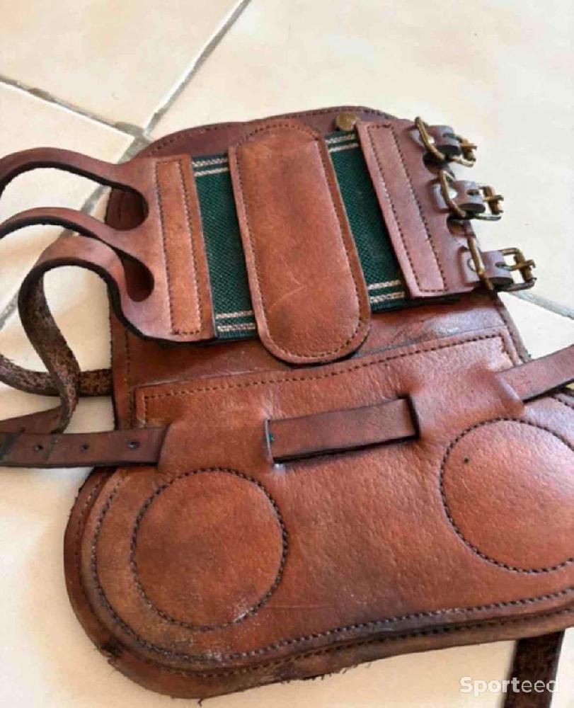 Equitation - Lot protections cheval Guêtres Forestier + Protège-boulets Bruno Delgrange + moutons - photo 2