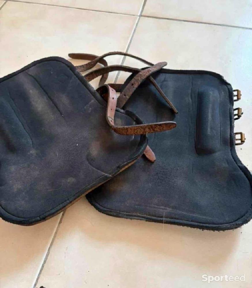 Equitation - Lot protections cheval Guêtres Forestier + Protège-boulets Bruno Delgrange + moutons - photo 4