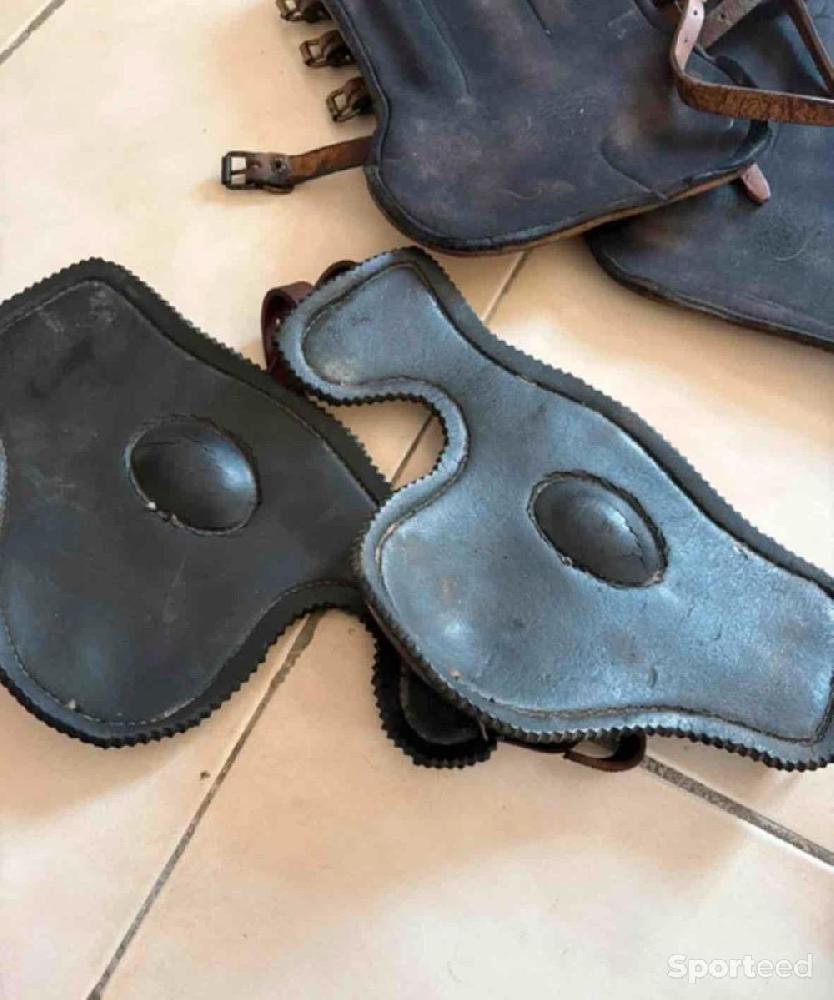 Equitation - Lot protections cheval Guêtres Forestier + Protège-boulets Bruno Delgrange + moutons - photo 5