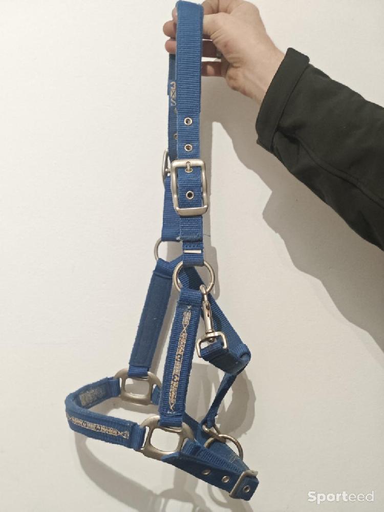 Equitation - Licol Scapa Sports  - photo 1