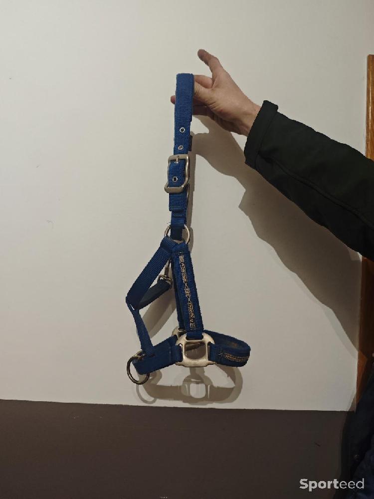 Equitation - Licol Scapa Sports  - photo 2