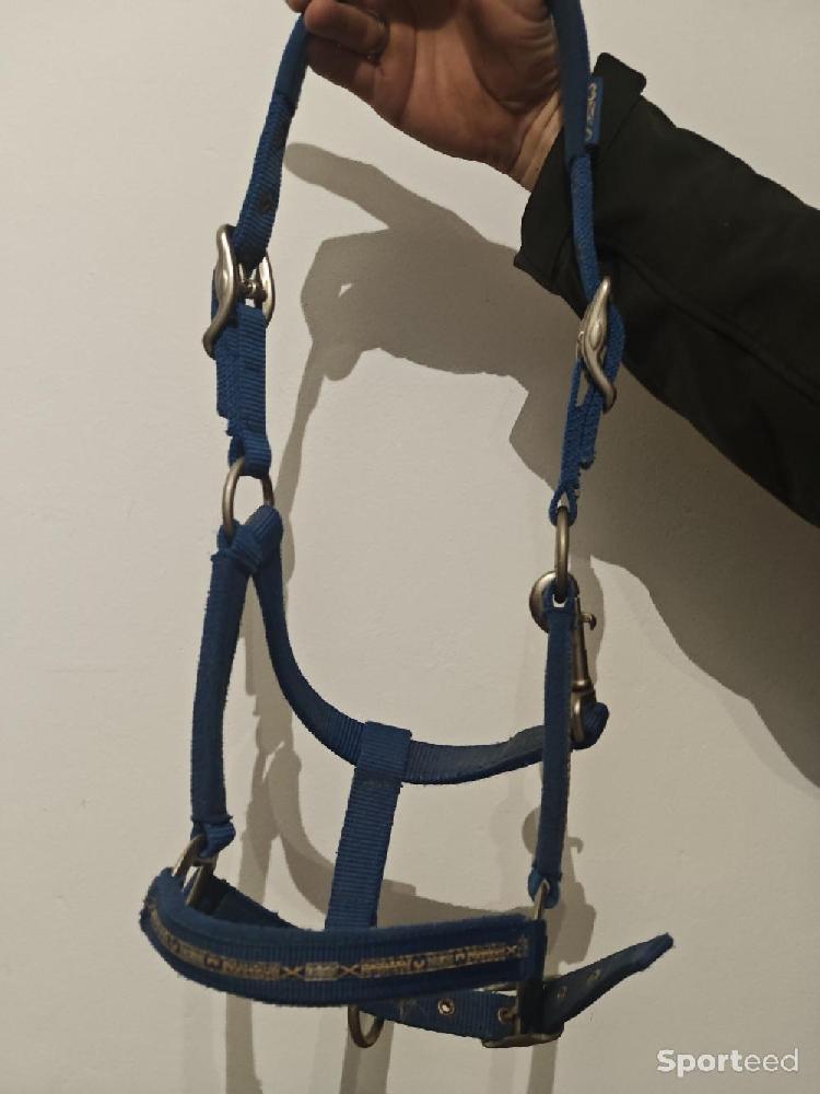 Equitation - Licol Scapa Sports  - photo 3