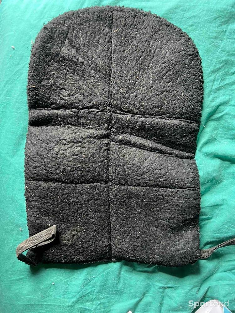 Equitation - Amortisseur, tapis vert, collier de chasse  - photo 2