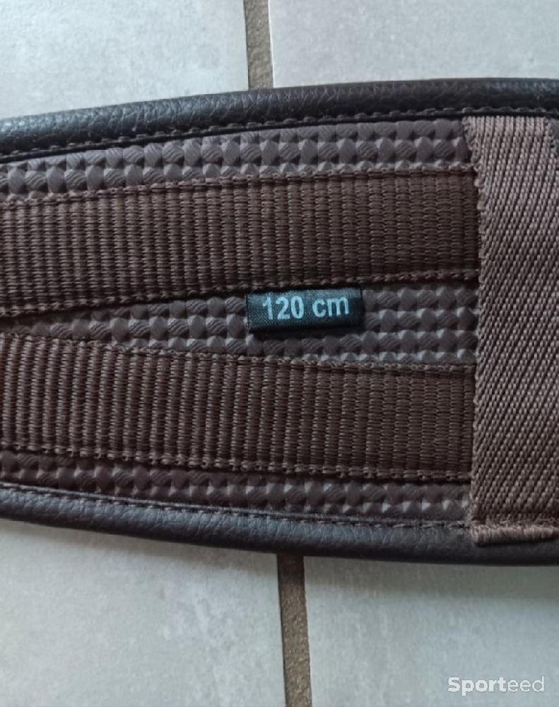 Equitation - Sangle anatomique confort Norton - photo 1