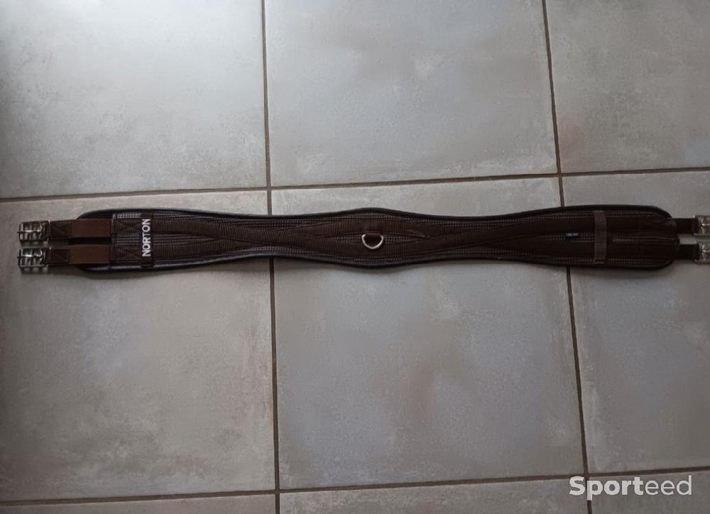 Equitation - Sangle anatomique confort Norton - photo 4