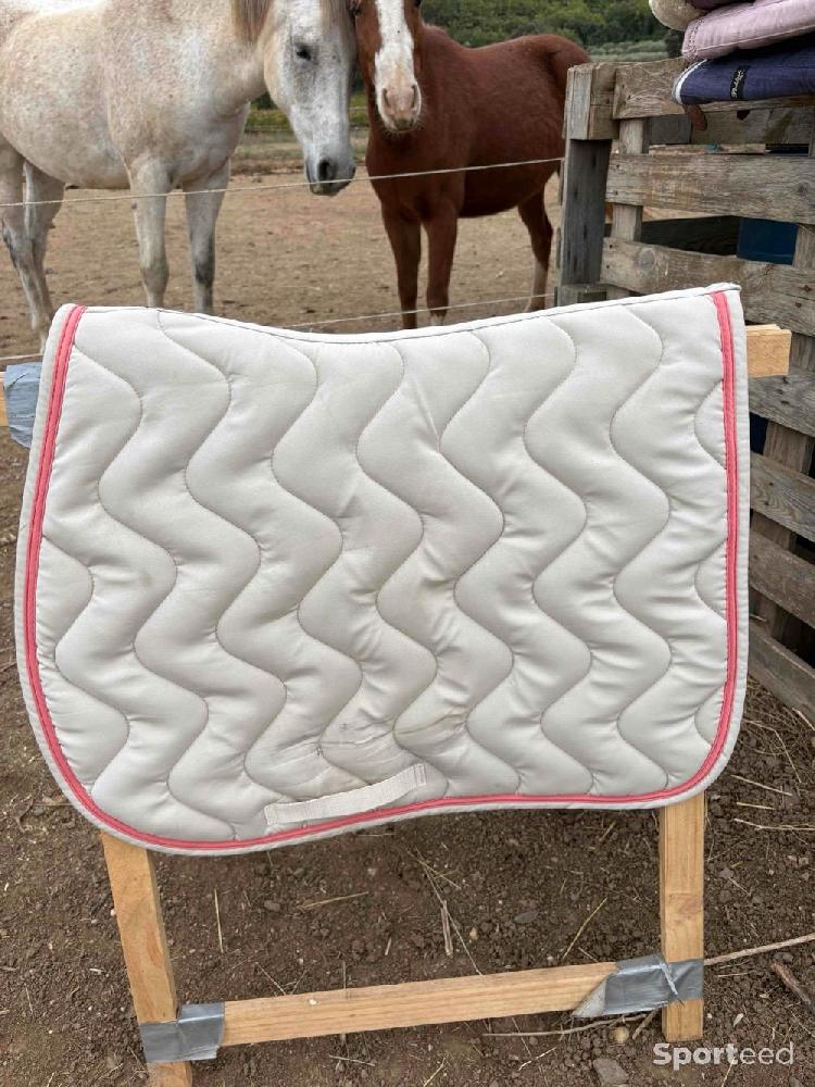 Equitation - Tapis Harcour beige / blanc crème liseré rose corail – mixte dressage / CSO - photo 3
