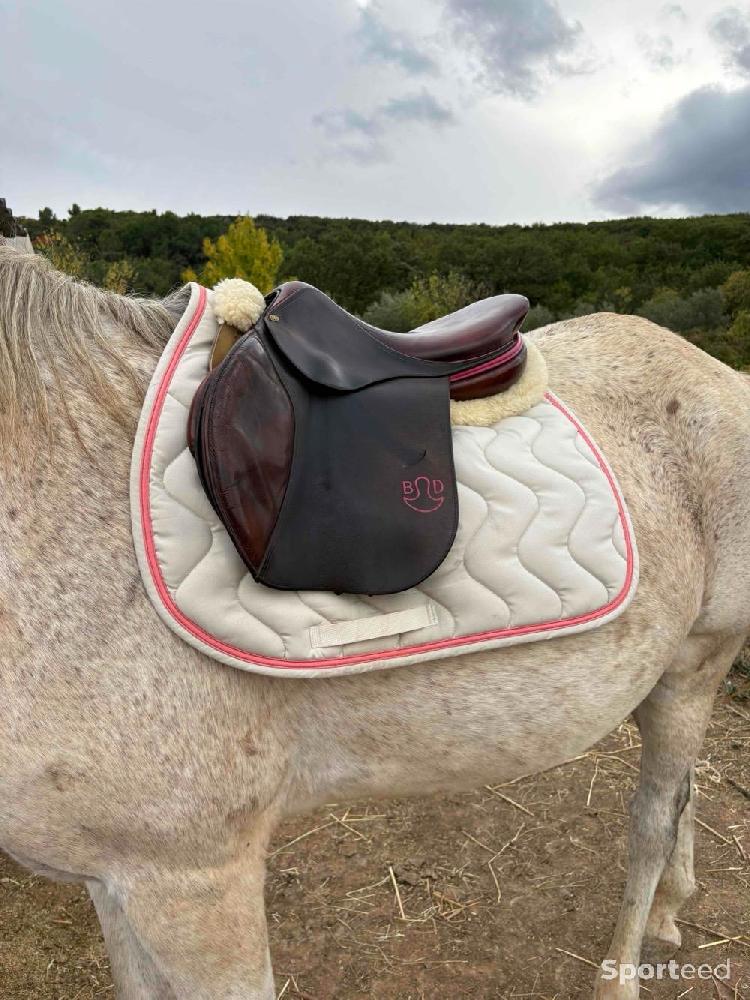 Equitation - Tapis Harcour beige / blanc crème liseré rose corail – mixte dressage / CSO - photo 5