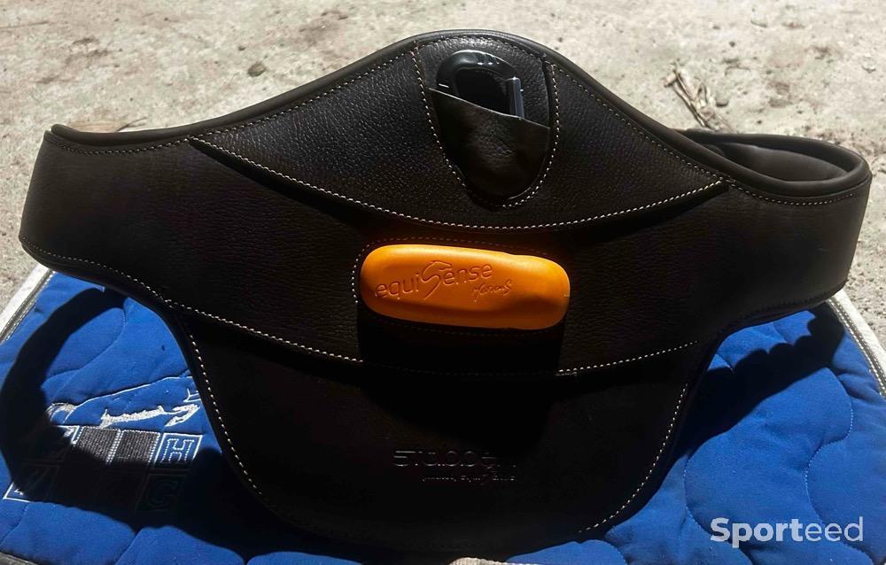 Equitation - Bavette neuve avec étiquette  - photo 1