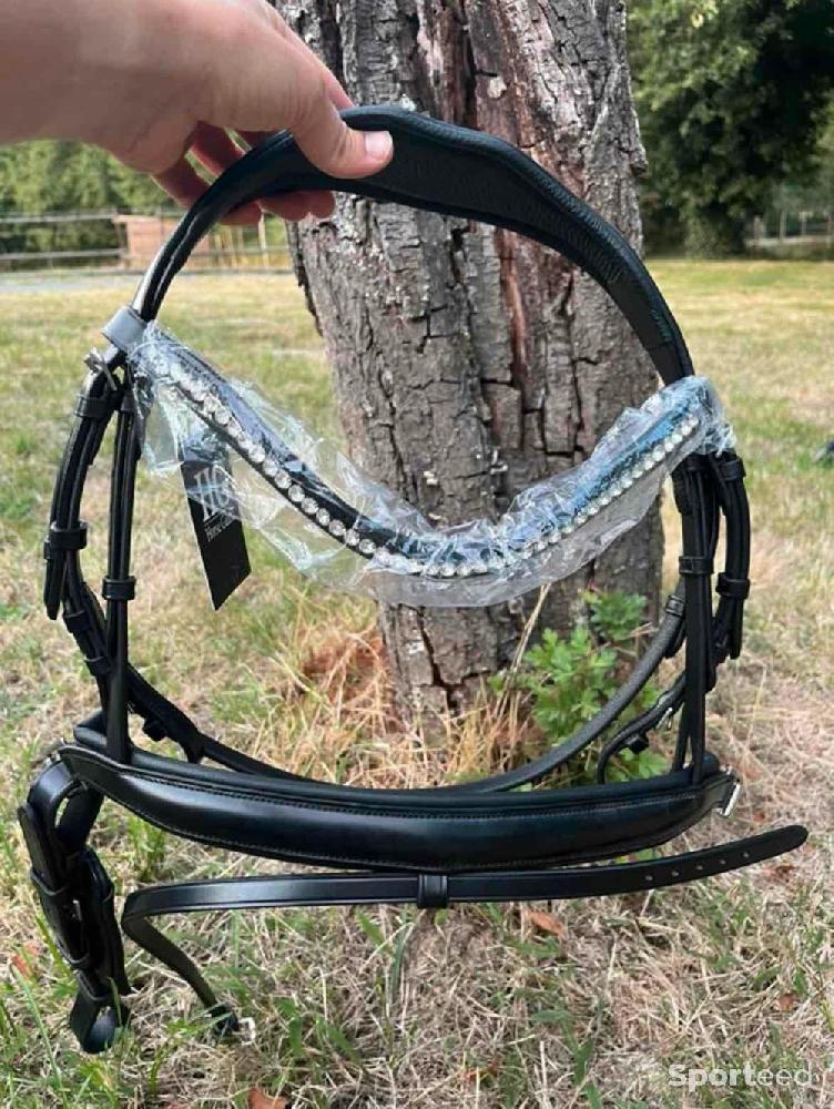 Equitation - Filet poney  - photo 1