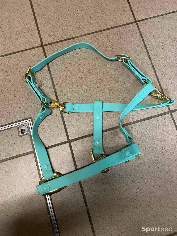 Equitation - Licol bleu biothane  - photo 2