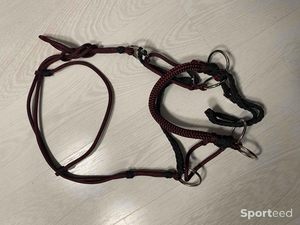 Equitation - Bride customisée sans mors pour cheval en corde à tirage latéral, hackmore  - photo 3