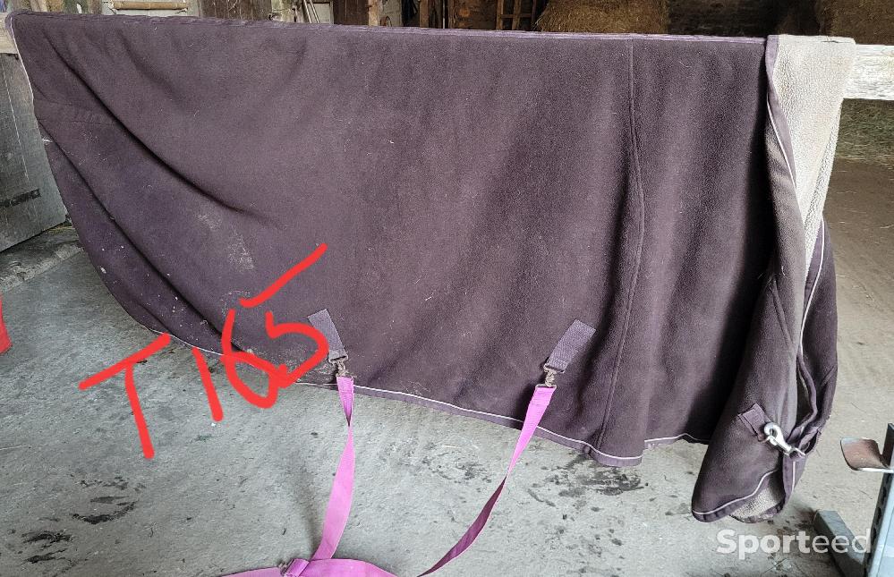 Equitation - Couverture intérieure  - photo 5