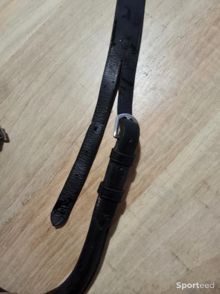 Equitation - Croupière - photo 2