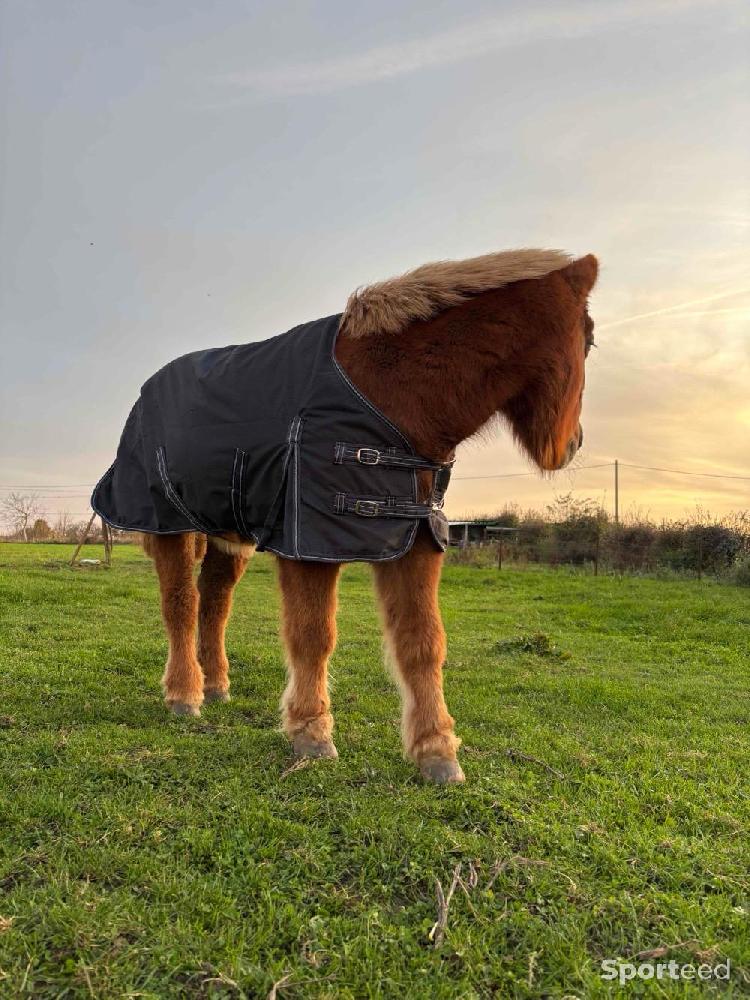 Equitation - Couverture imperméable 0g - photo 1