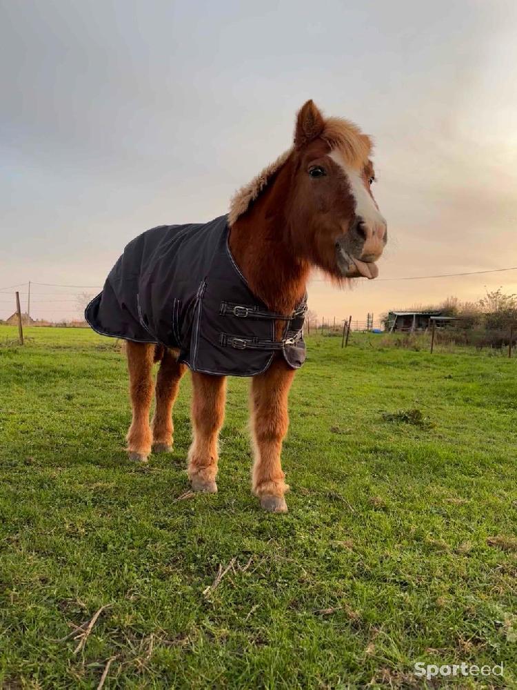 Equitation - Couverture imperméable 0g - photo 2