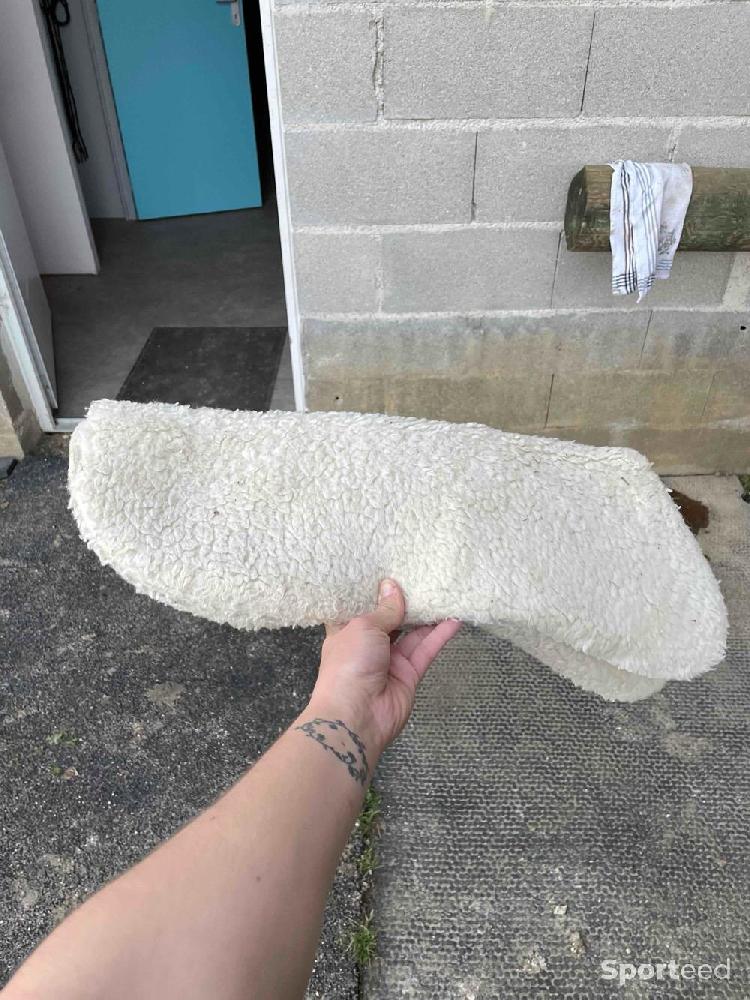 Equitation - Amortissement  - photo 1