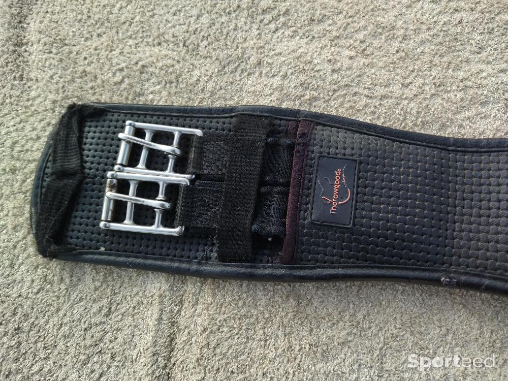 Equitation - Sangle Court Dressage Airoform Thorowgood - photo 3