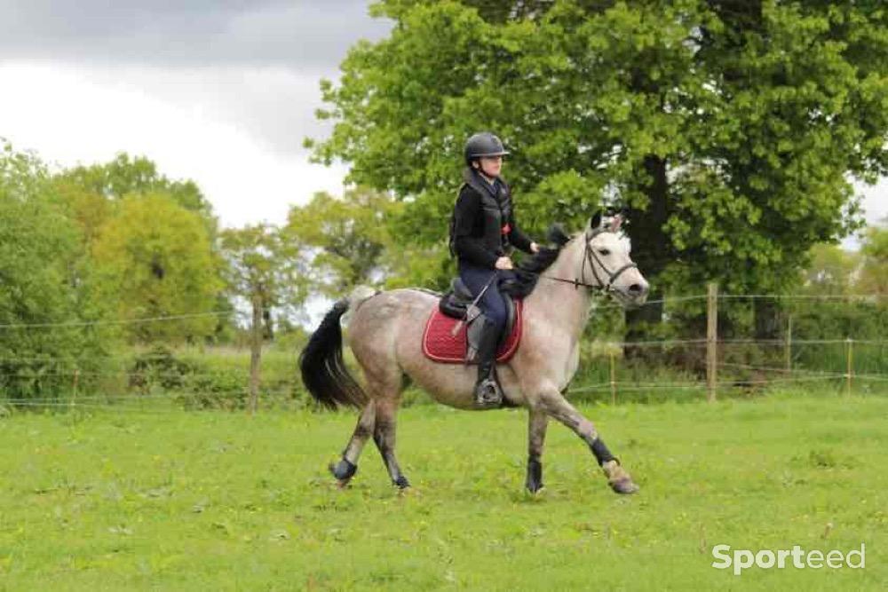 Equitation - Air bag spark 2 taille s + quatre cartouches  - photo 5