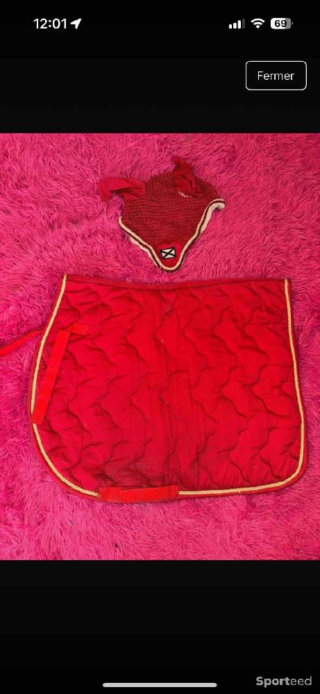 Equitation - Ensemble cheval  - photo 1