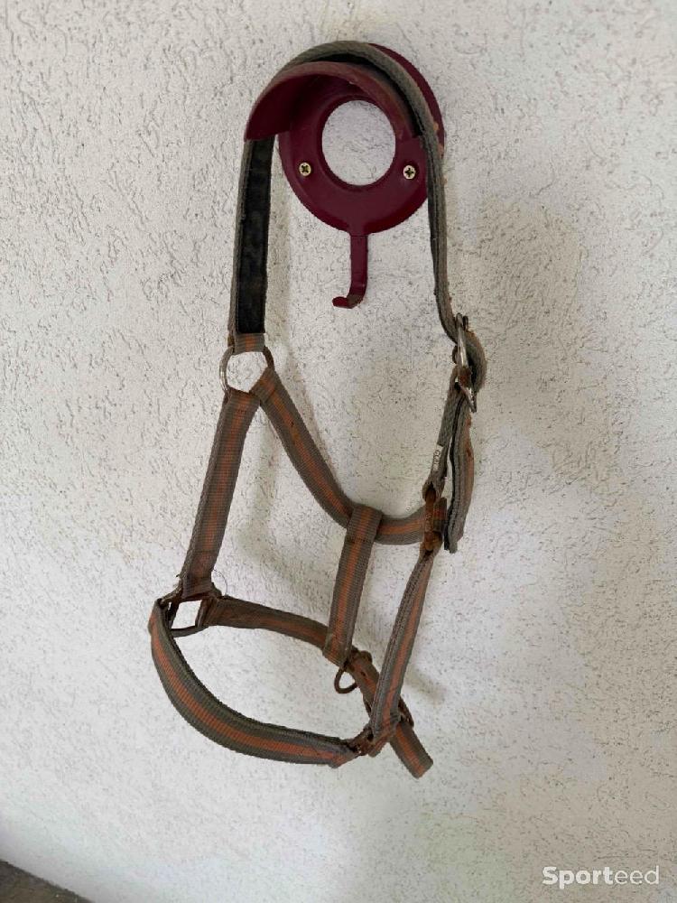 Equitation - Licols COB  - photo 3