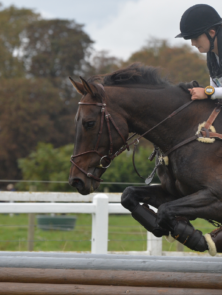 Equitation - Bridon cuir rond.  - photo 3