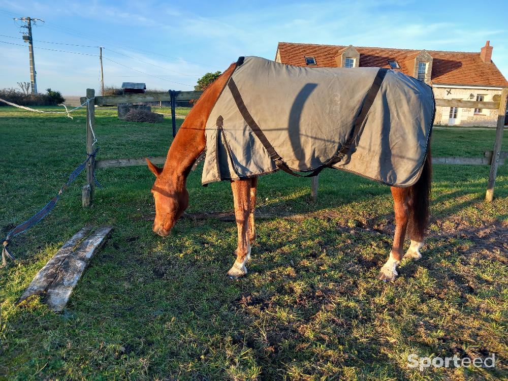 Equitation - chemise grise décathlon - photo 1