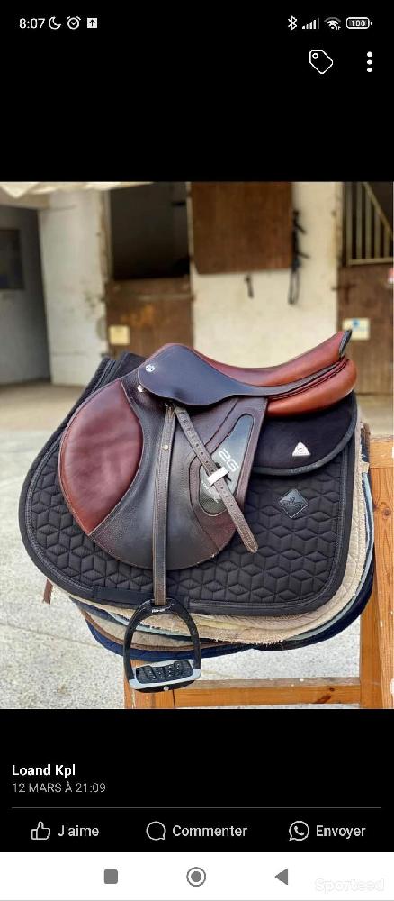 Equitation - Selle CWD - photo 2