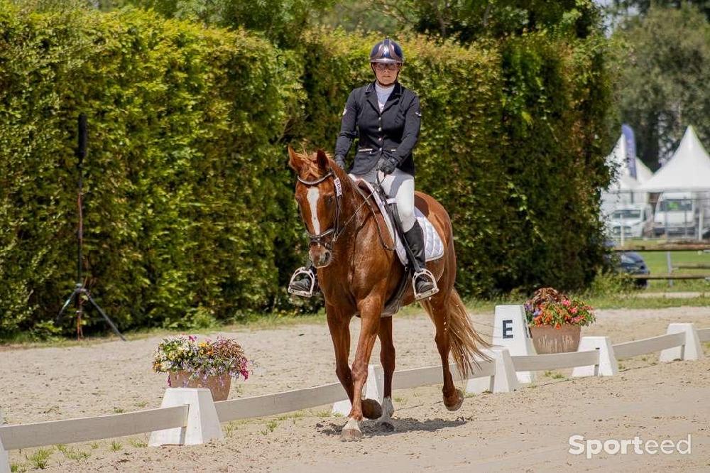 Equitation - Veste de concours - photo 1