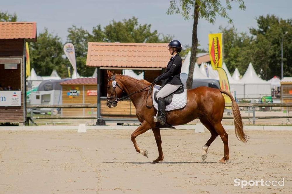 Equitation - Veste de concours - photo 3