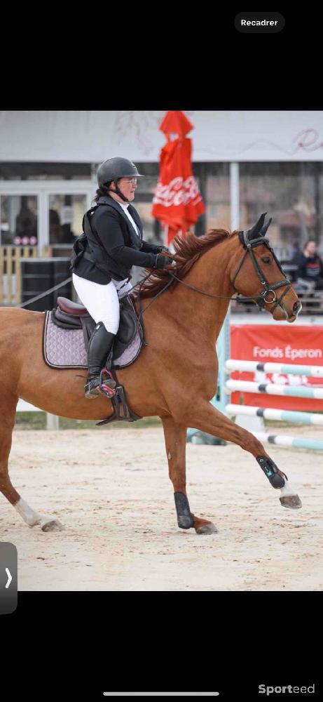 Equitation - Tapis cso anna scarpati  - photo 1