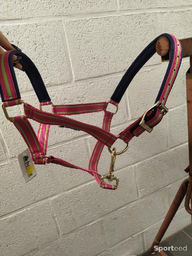 Equitation - Licol - photo 1