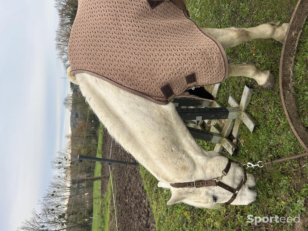Equitation - Kentucky couverture séchante 4D  - photo 1