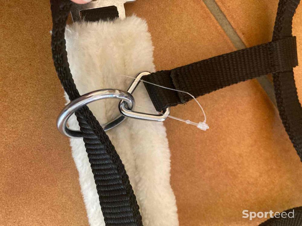 Equitation - Licol moumoute poulain /mini shetland  - photo 4