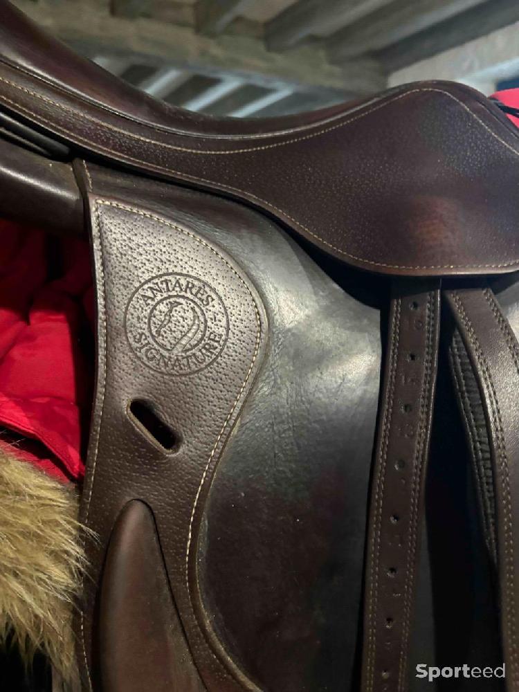 Equitation - Selle mono quartier antares - photo 2