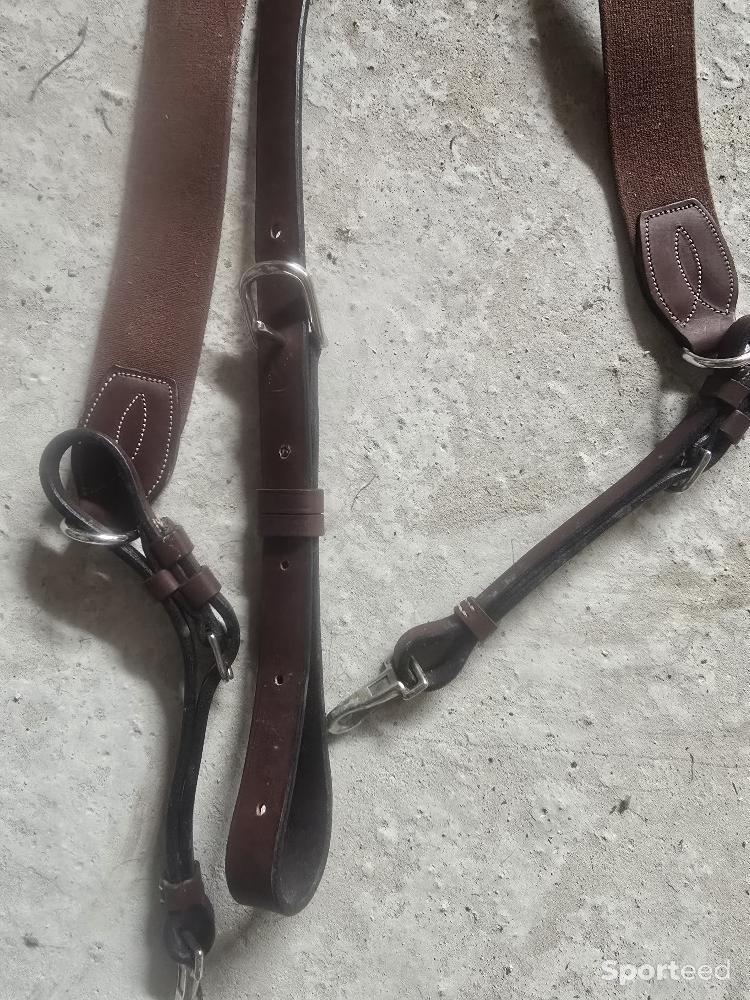 Equitation - Collier de chasse  - photo 4