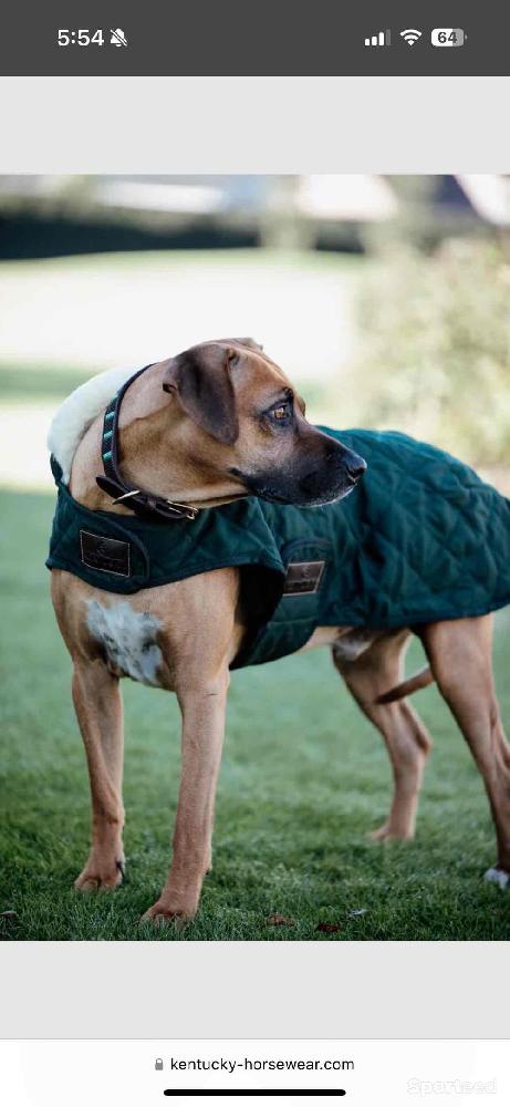 Equitation - Manteau pour Chien Kentucky  - photo 2