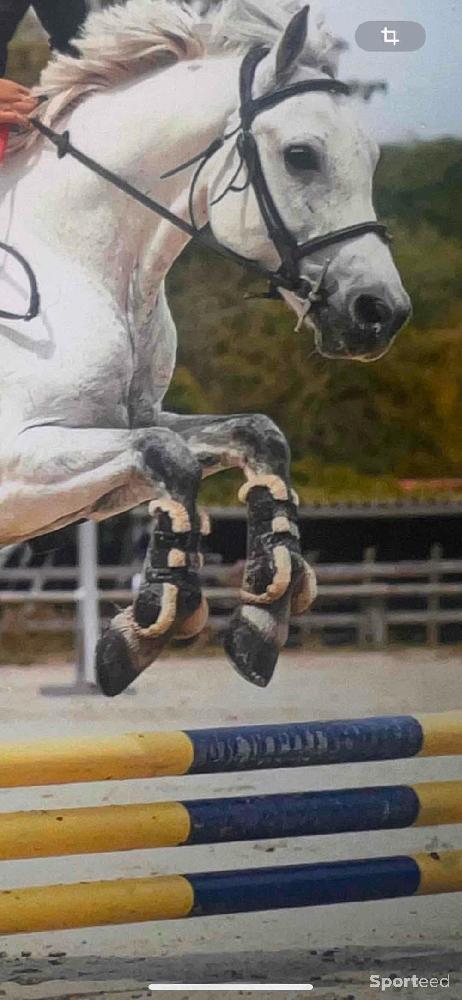 Equitation - Guêtres Marron Taille Cheval avec Doublure en Moumoute de Mouton - photo 1