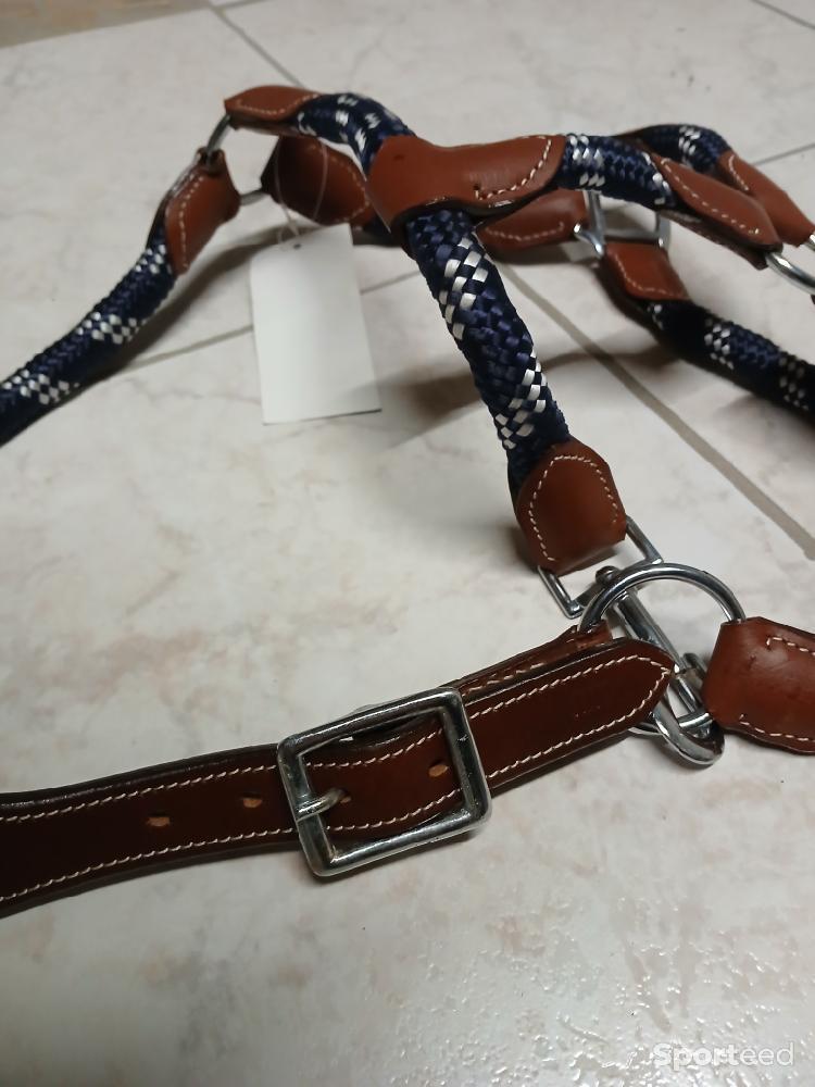 Equitation - Licol bleu marine cuir marron neuf - photo 1