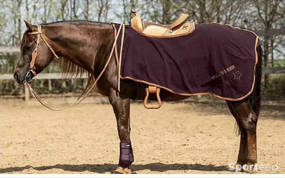 Equitation - Ensemble de Guêtre en Néoprène  - photo 4