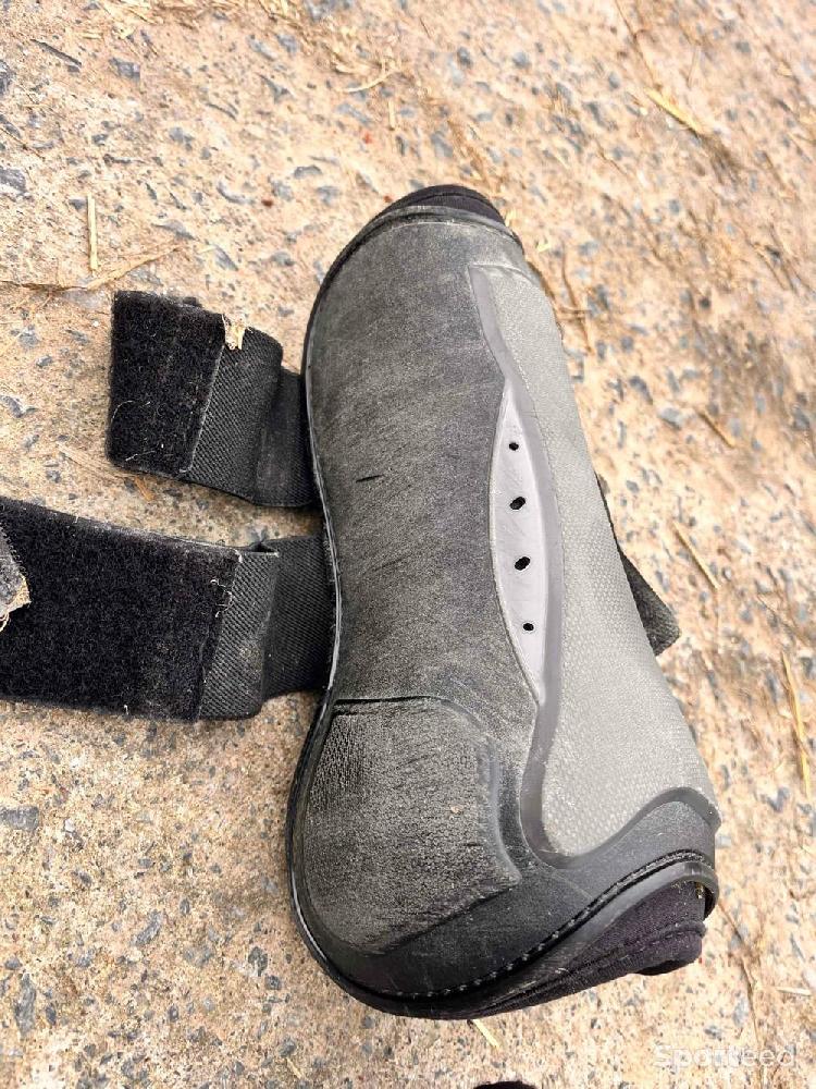 Equitation - Protection taille cheval  - photo 3