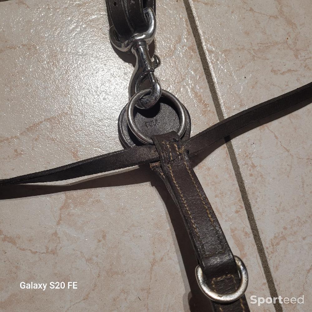 Equitation - Collier de chasse 5 points d'attaches taille cheval  - photo 5